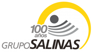 Logo Grupo Salinas